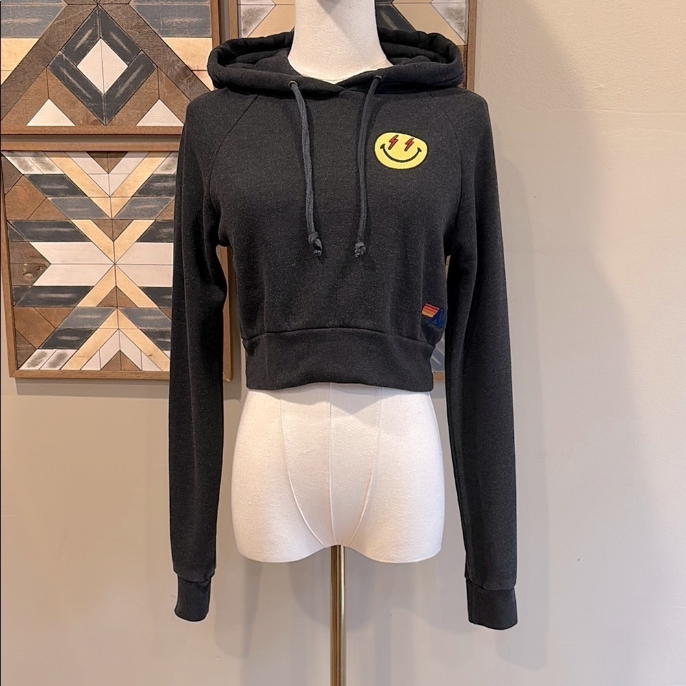 Aviator Nation Women’s Smiley Bolt Eyes Cropped Hoodie Sweatshirt Dark Grey XS